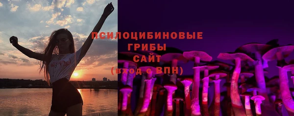 твердый Армянск