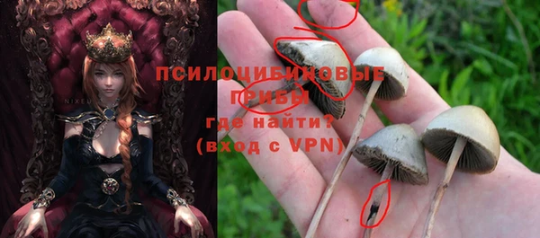метадон Арсеньев
