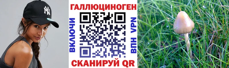 даркнет сайт  blacksprut маркетплейс  Псилоцибиновые грибы прущие грибы  Микунь 
